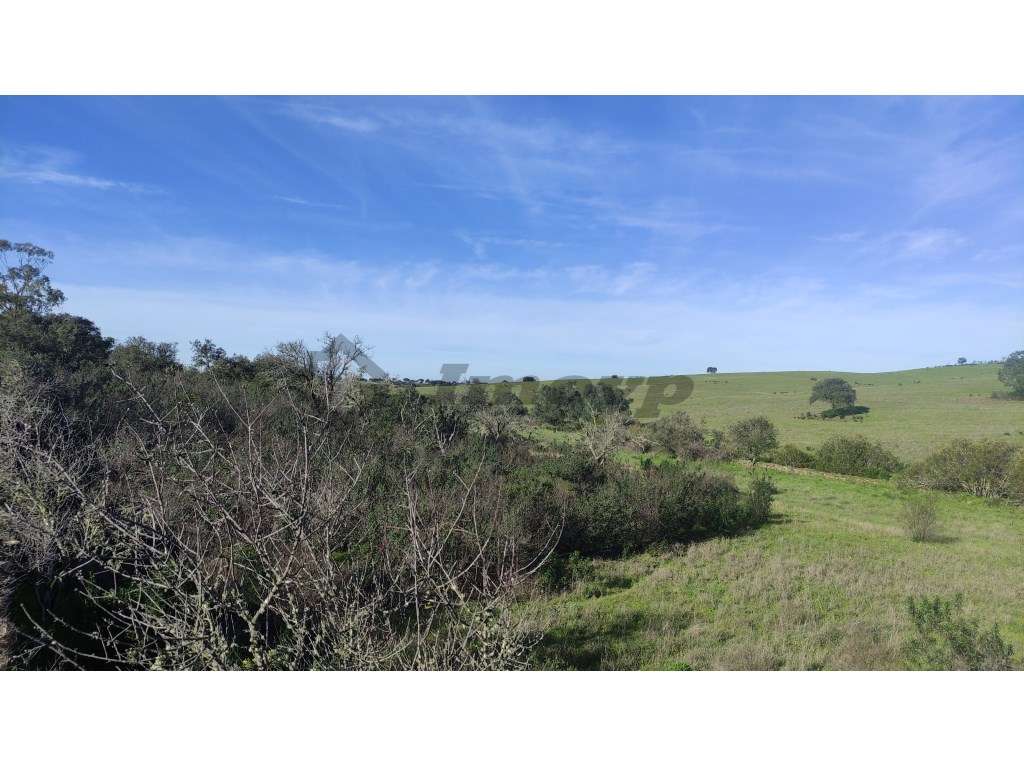 Terreno rústico de 0,65Ha localizado a cerca de 250mt da localidade... - Grande imagem: 2/10