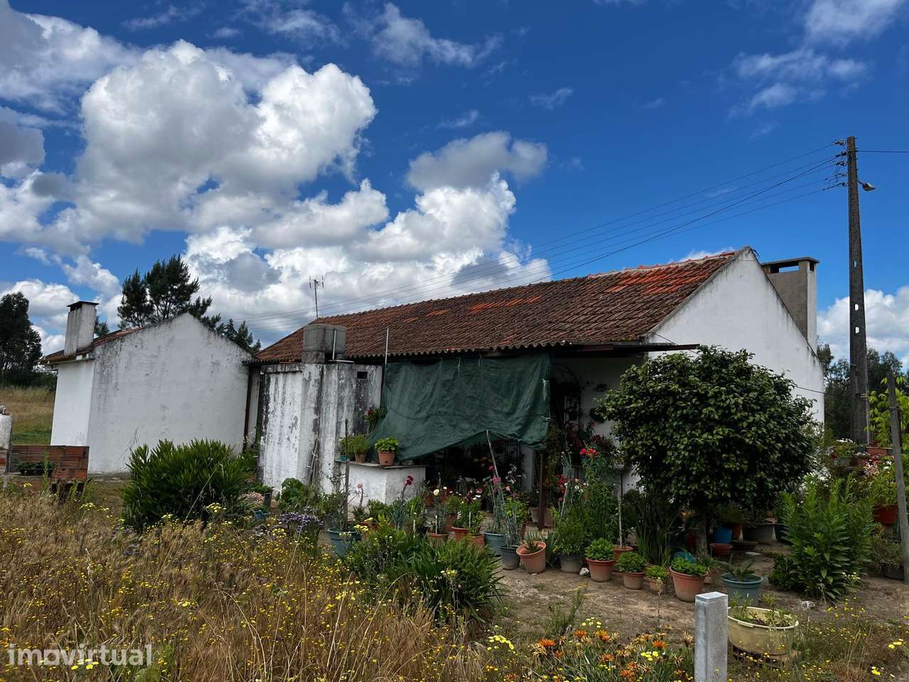 Casa Rural - Coruche / Santarém - Grande imagem: 5/15