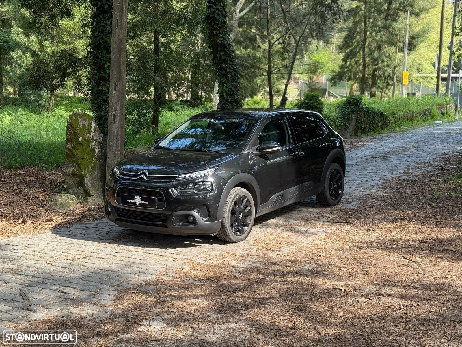Citroën C4 Cactus 1.2 PureTech Feel - 21