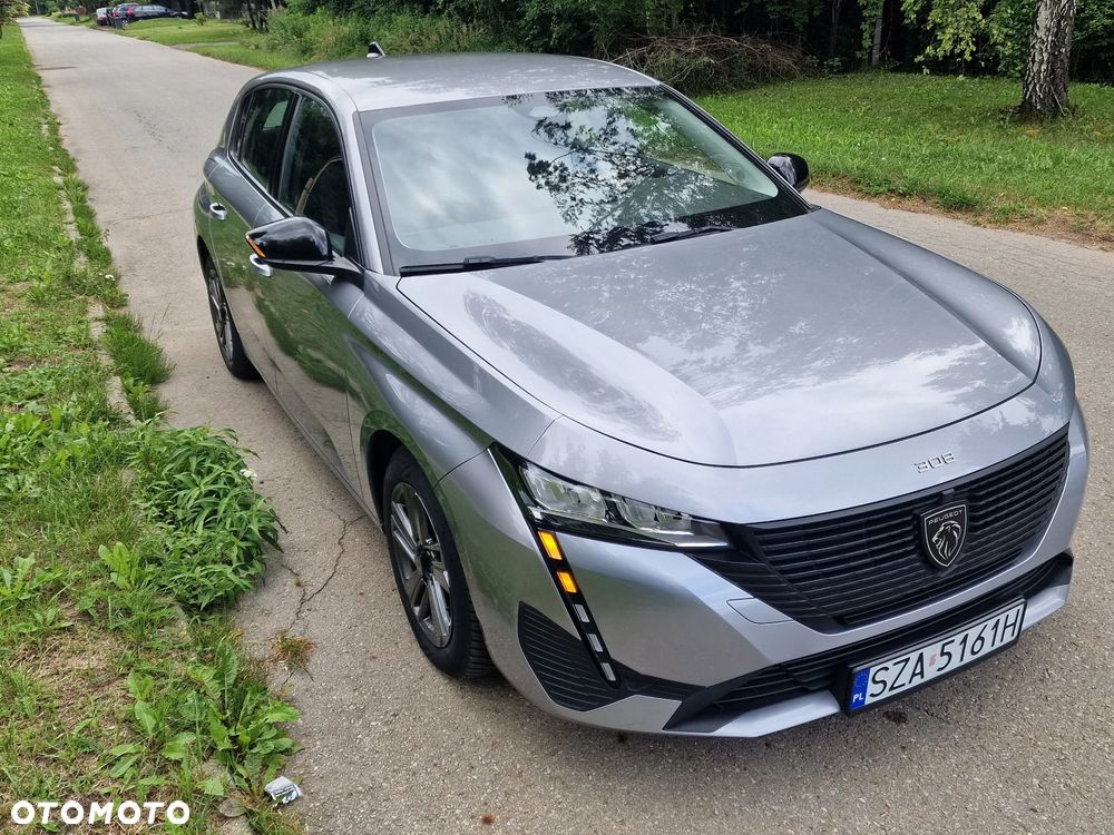 Peugeot 308 1.5 BlueHDi Active Pack S&S EAT8 - 14