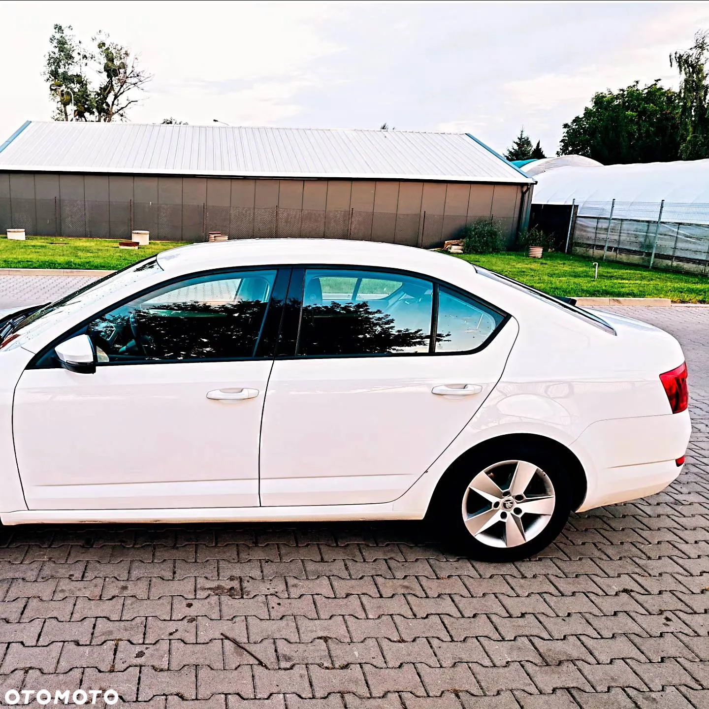 Skoda Octavia 1.6 TDI Ambition - 4