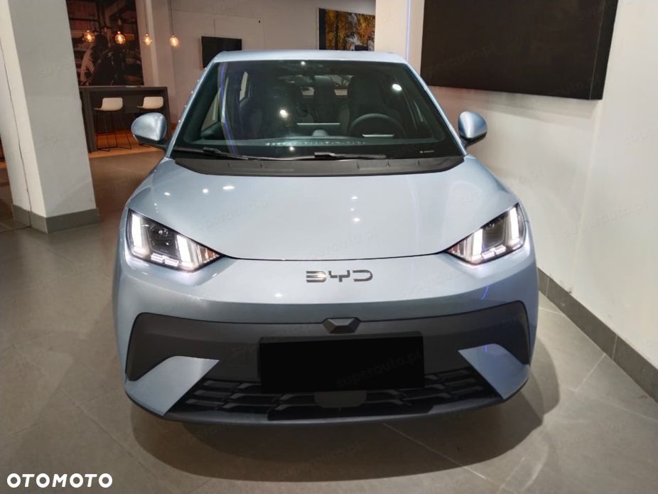 BYD Dolphin Surf - 5