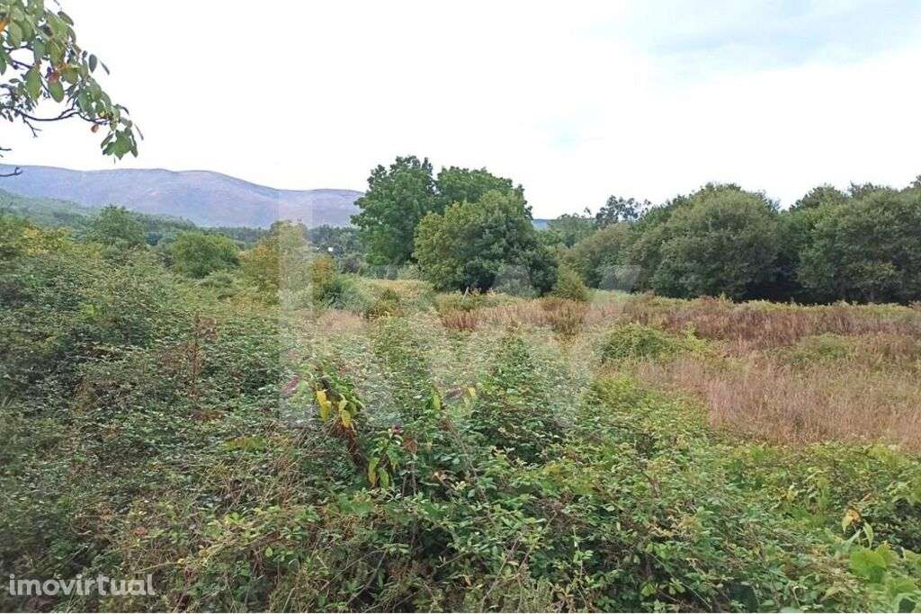 Terreno agrícola em Carvalhais, São Pedro do Sul - Grande imagem: 3/9