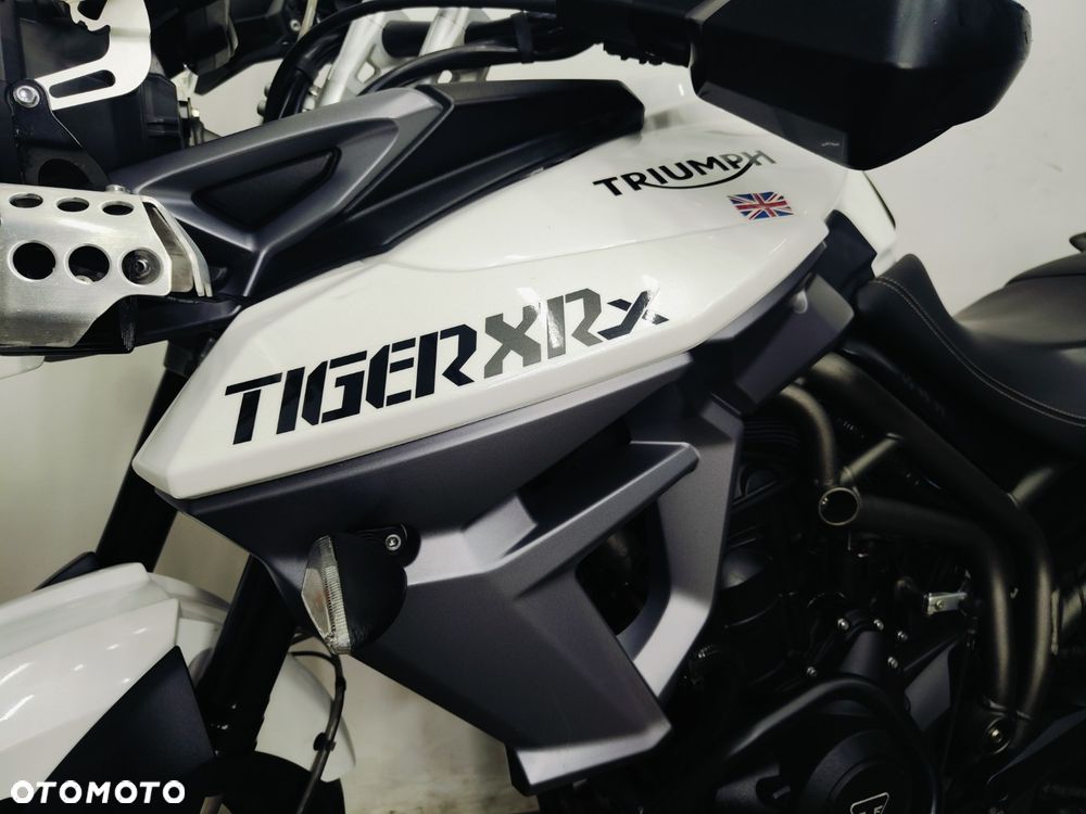 Triumph Tiger - 23