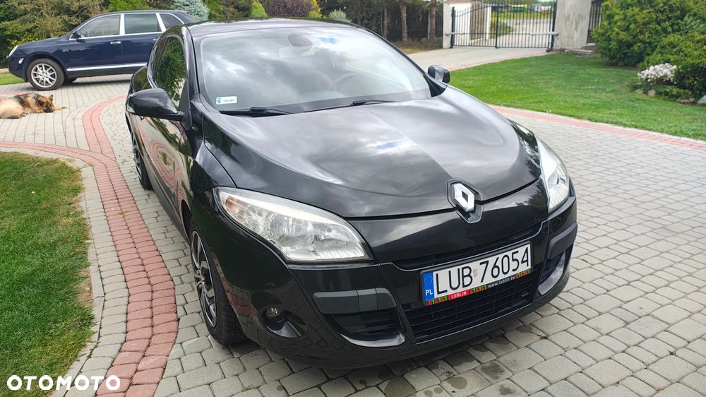 Renault Megane - 18