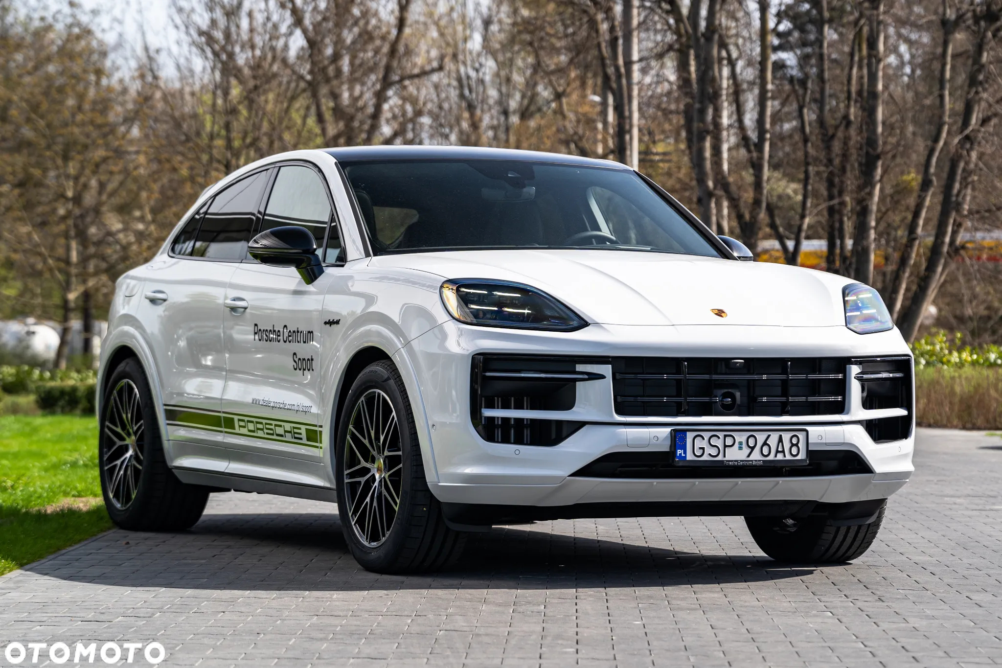 Porsche Cayenne - 8