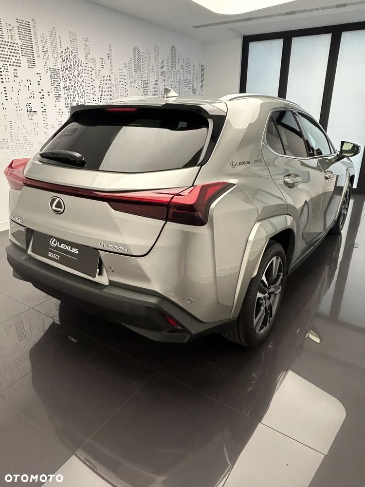 Lexus UX 300h Omotenashi - 4