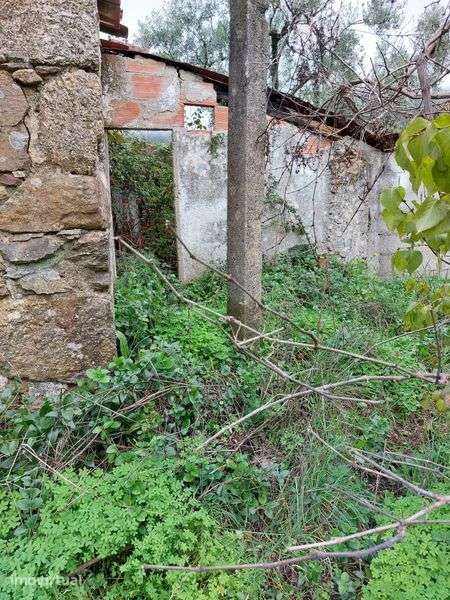 Terreno com casa em Vale de Prazeres - Grande imagem: 2/12