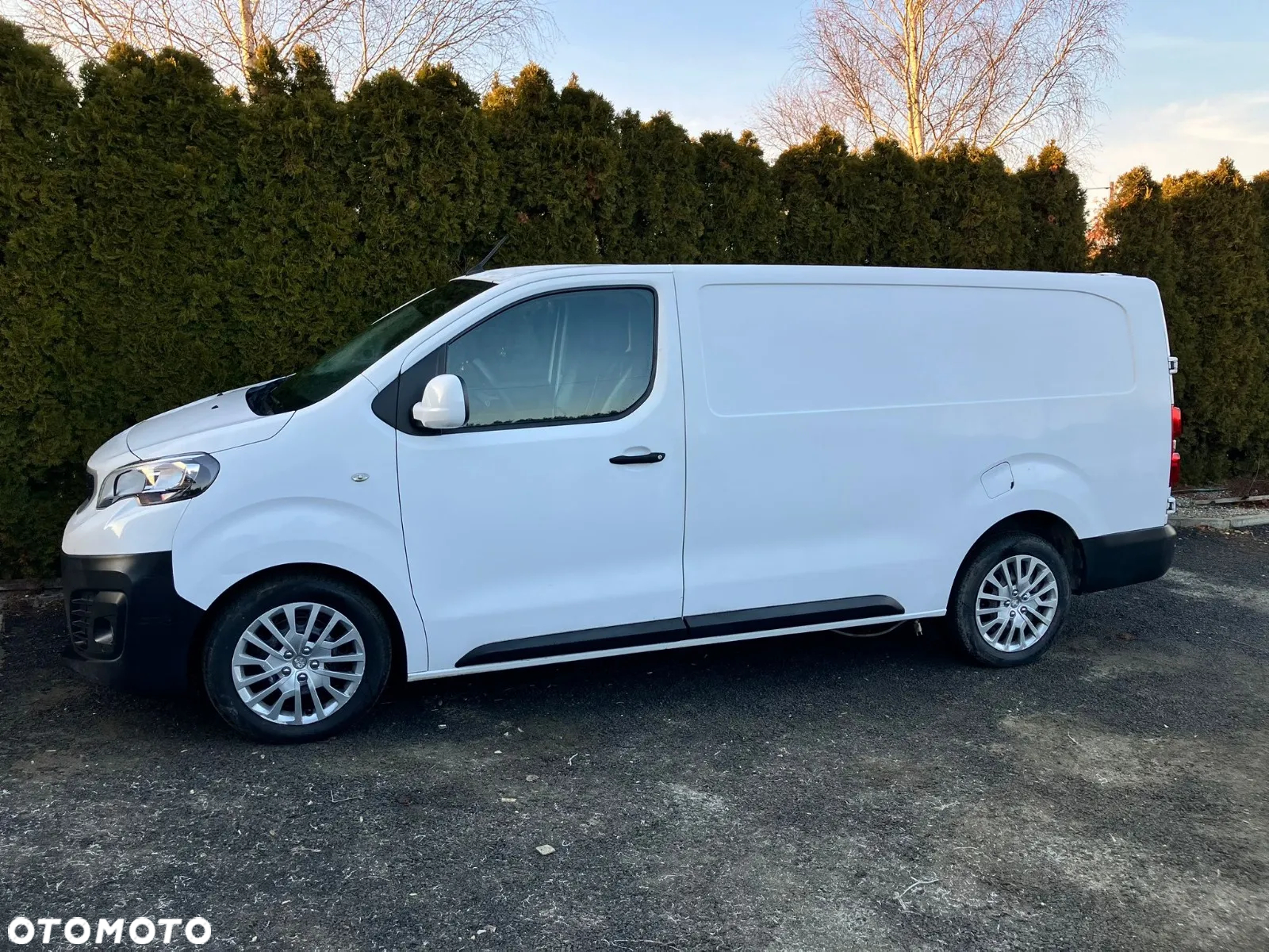Peugeot Expert - 25