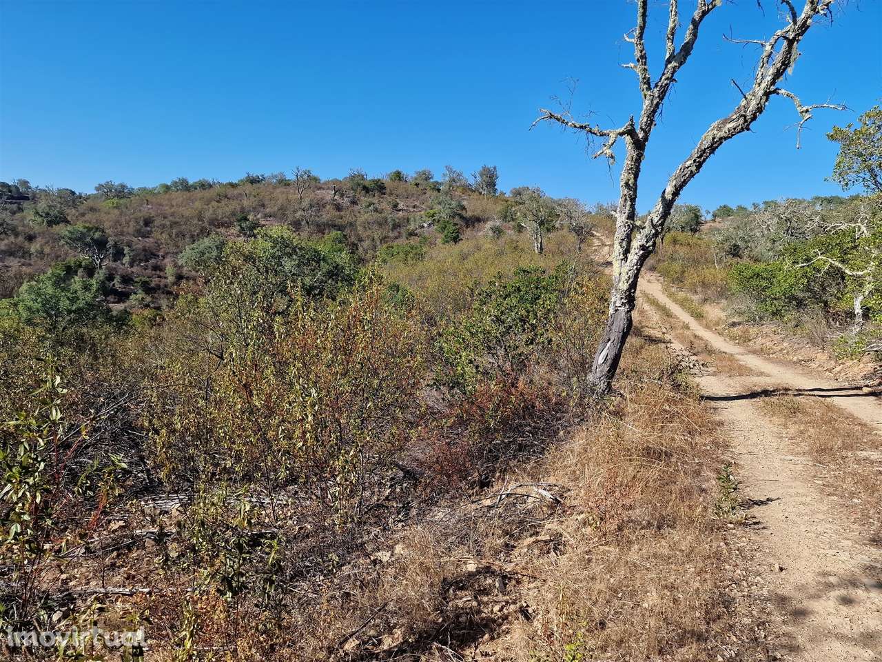 Terreno Rústico  Venda em São Barnabé,Almodôvar - Grande imagem: 4/9