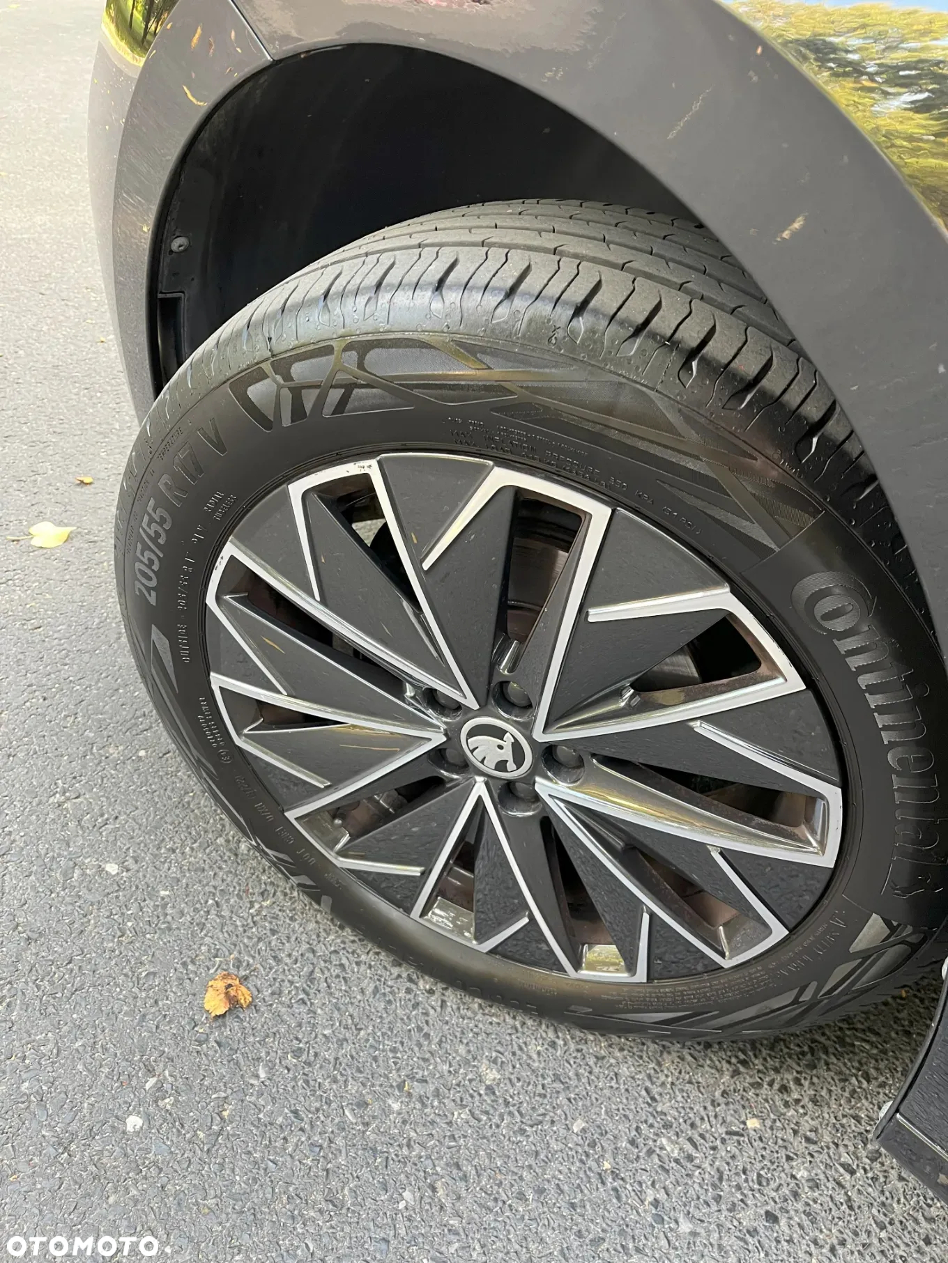 Skoda Kamiq 1.0 TSI Style - 5