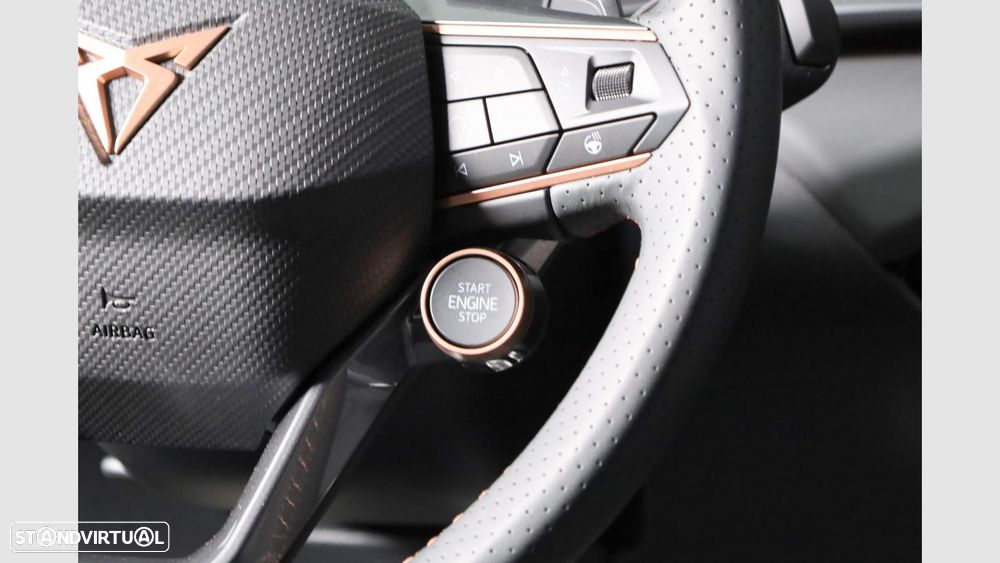 Cupra Terramar - 18