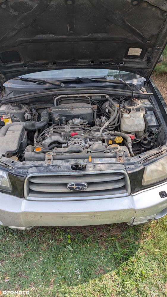 Subaru Forester - 6