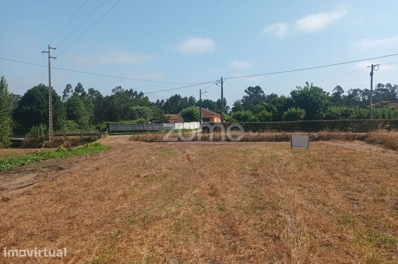 Terreno Agricola em Moita Vaqueira - Arazede - Grande imagem: 5/9
