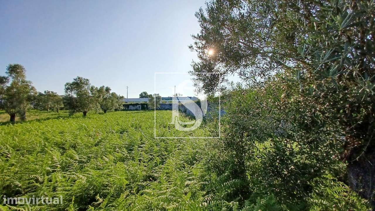 Terreno  Venda em Mujães,Viana do Castelo - Grande imagem: 2/30