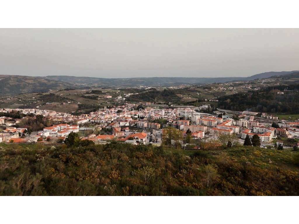 Propriedade com 35.000 m2 à venda na zona privilegiada de Lamego - Grande imagem: 3/21