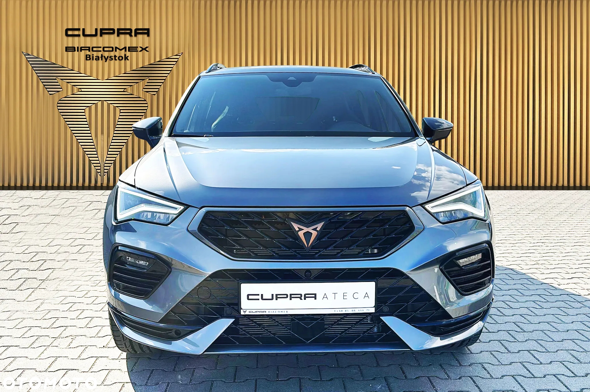 Cupra Ateca 1.5 TSI DSG - 8