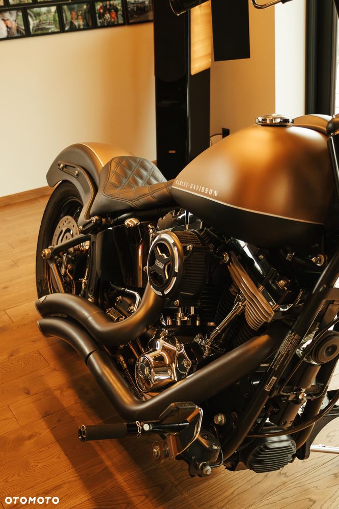 Harley-Davidson Softail Blackline - 14