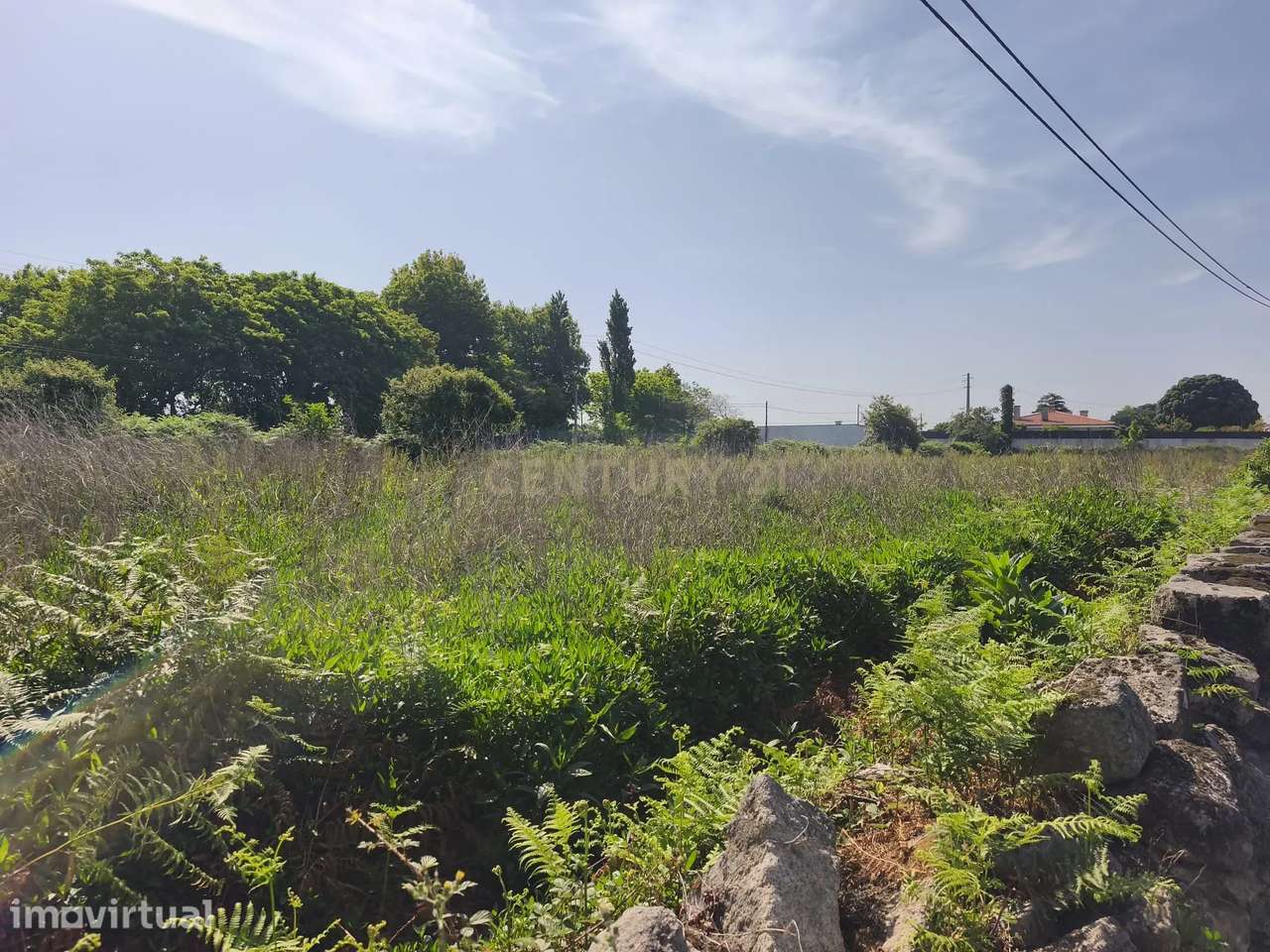 Terreno urbanizável em Beiriz - Grande imagem: 3/23