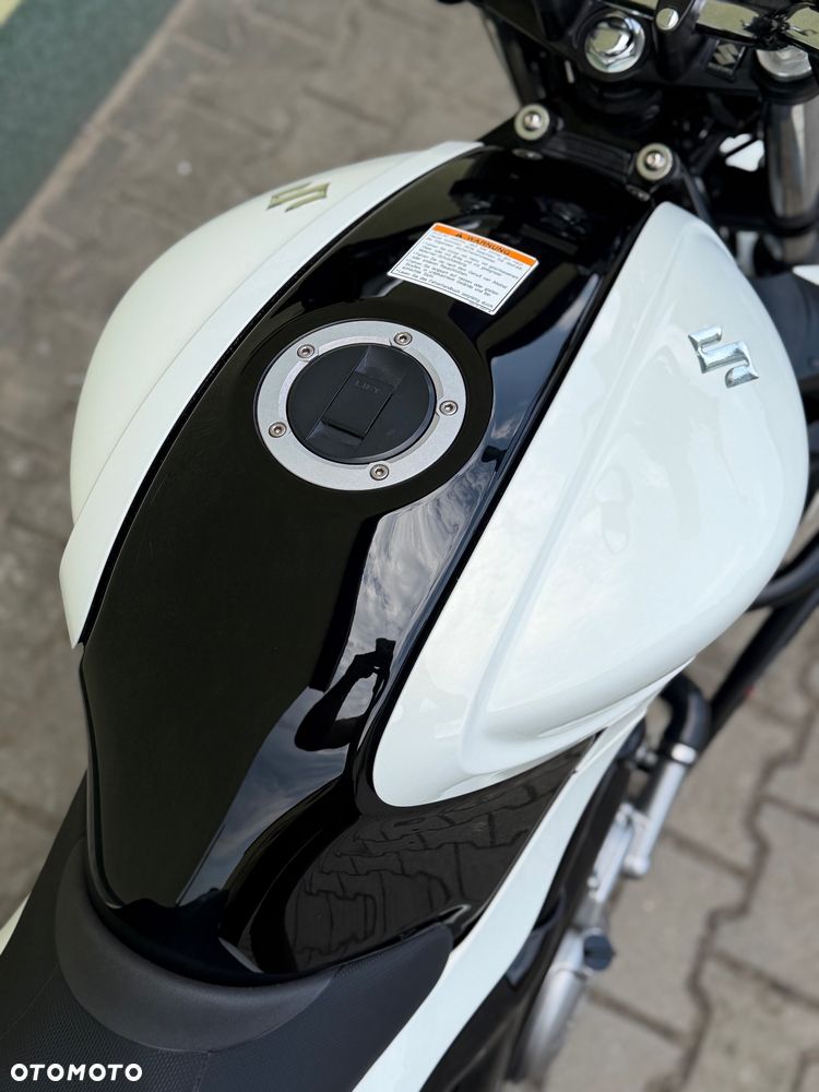 Suzuki Gladius - 17