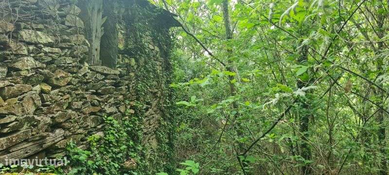 2 casas em pedra, xisto e lousa em ambiente natural - Grande imagem: 4/6