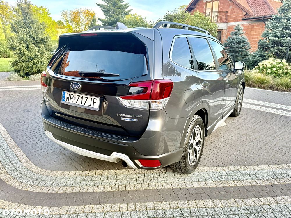 Subaru Forester - 15