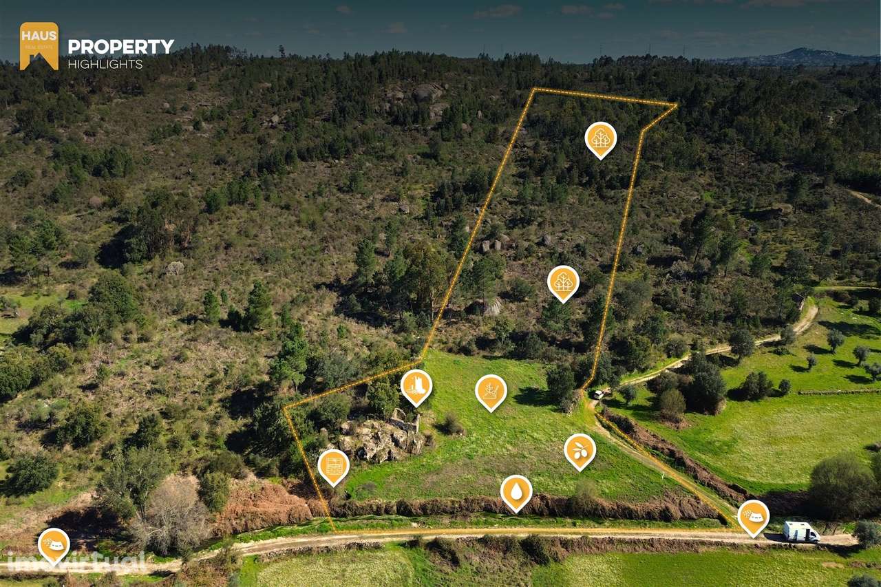 Terreno 1.1ha com Ruína e Vale Fértil | Cafede, Castelo Branco - Grande imagem: 4/24