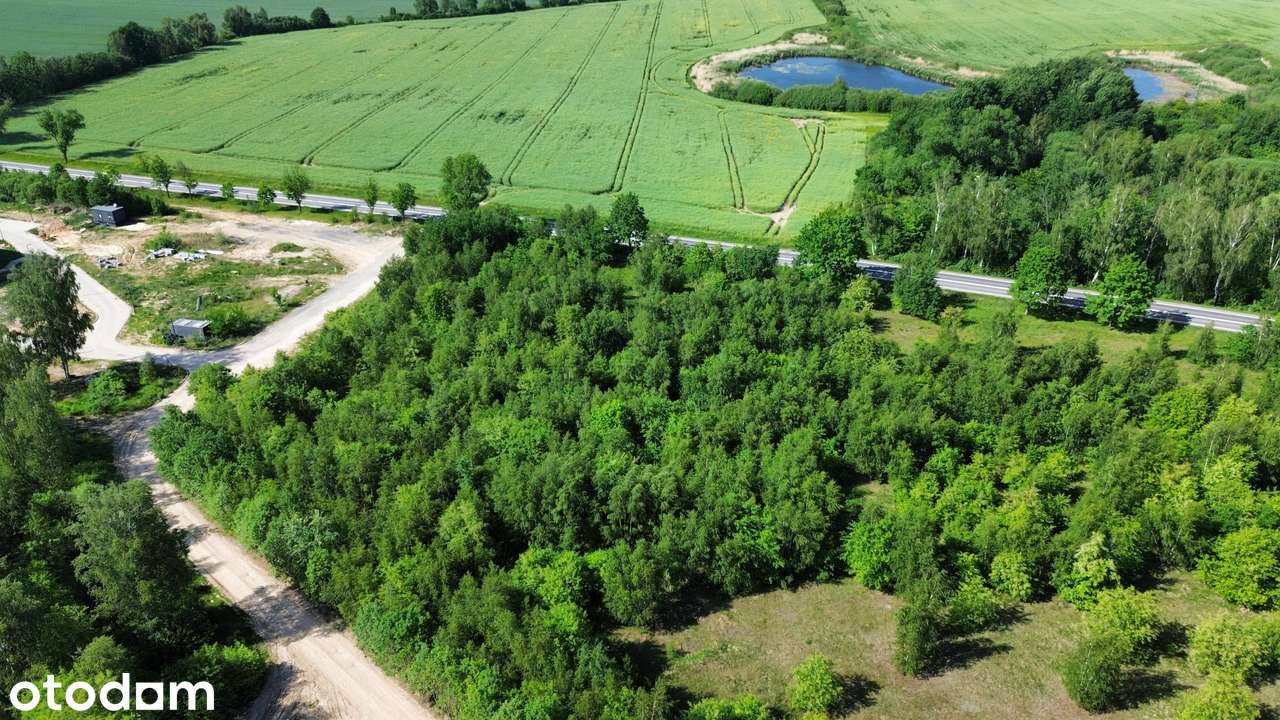 DZIAŁKI INWESTYCYJNE PRZY DK94 – GNIEWOMIROWICE; LEGNICA; LUBIN; JAWOR - Pełny obrazek: 4/5