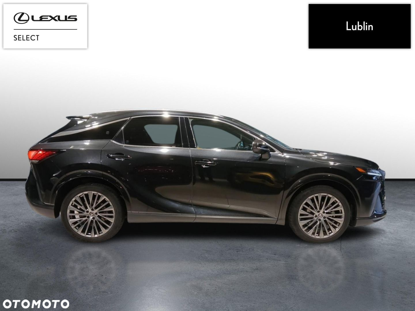 Lexus RX - 6