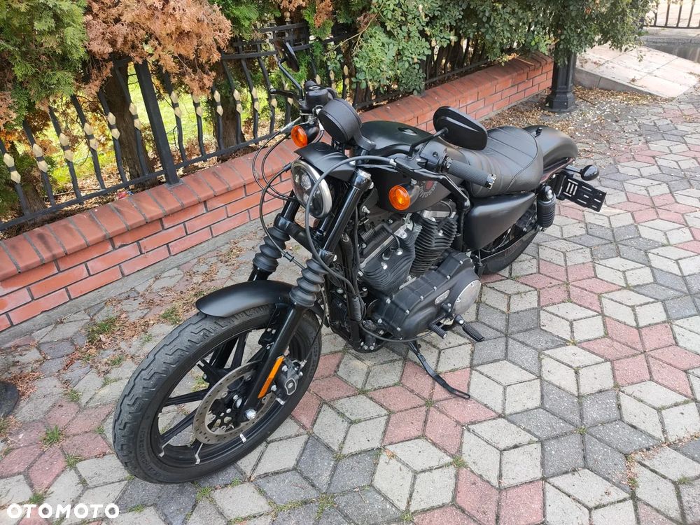 Harley-Davidson Sportster Iron 883 - 3