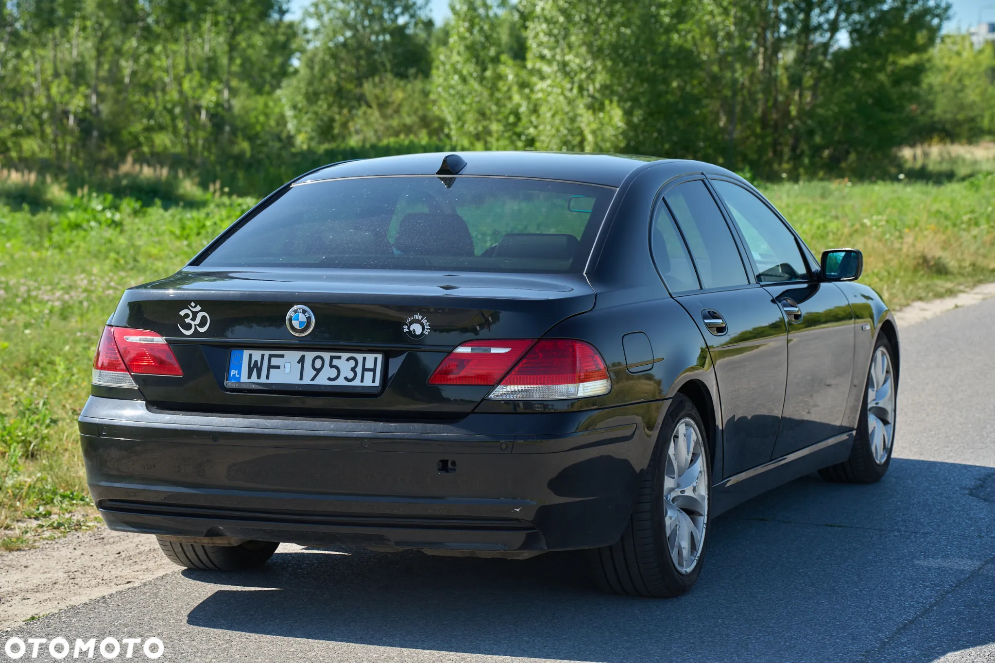 BMW Seria 7 730d - 13