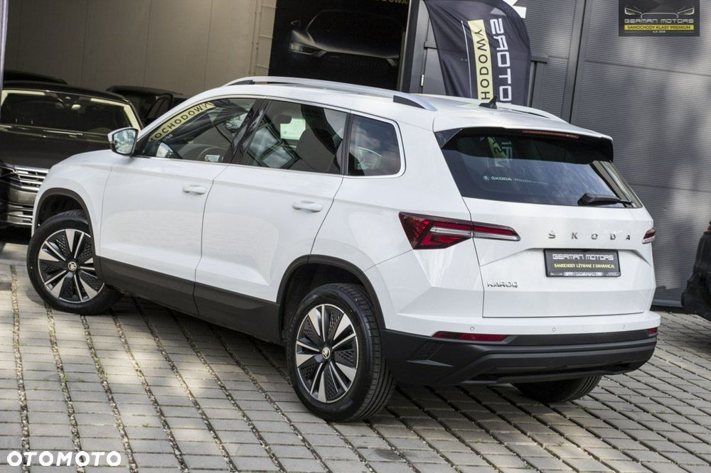 Skoda Karoq - 10