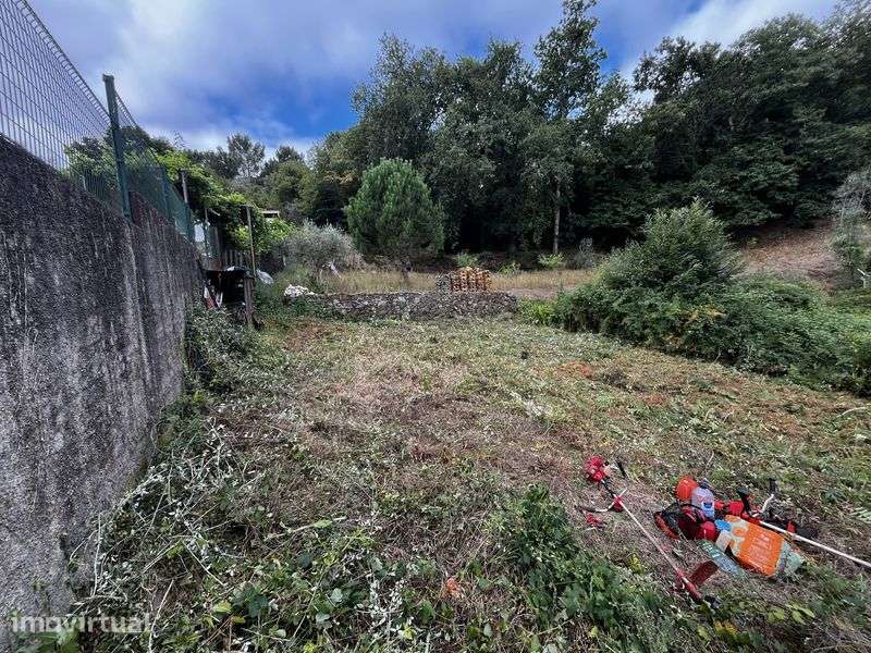 Terreno para venda em chelo Penacova - Grande imagem: 2/6