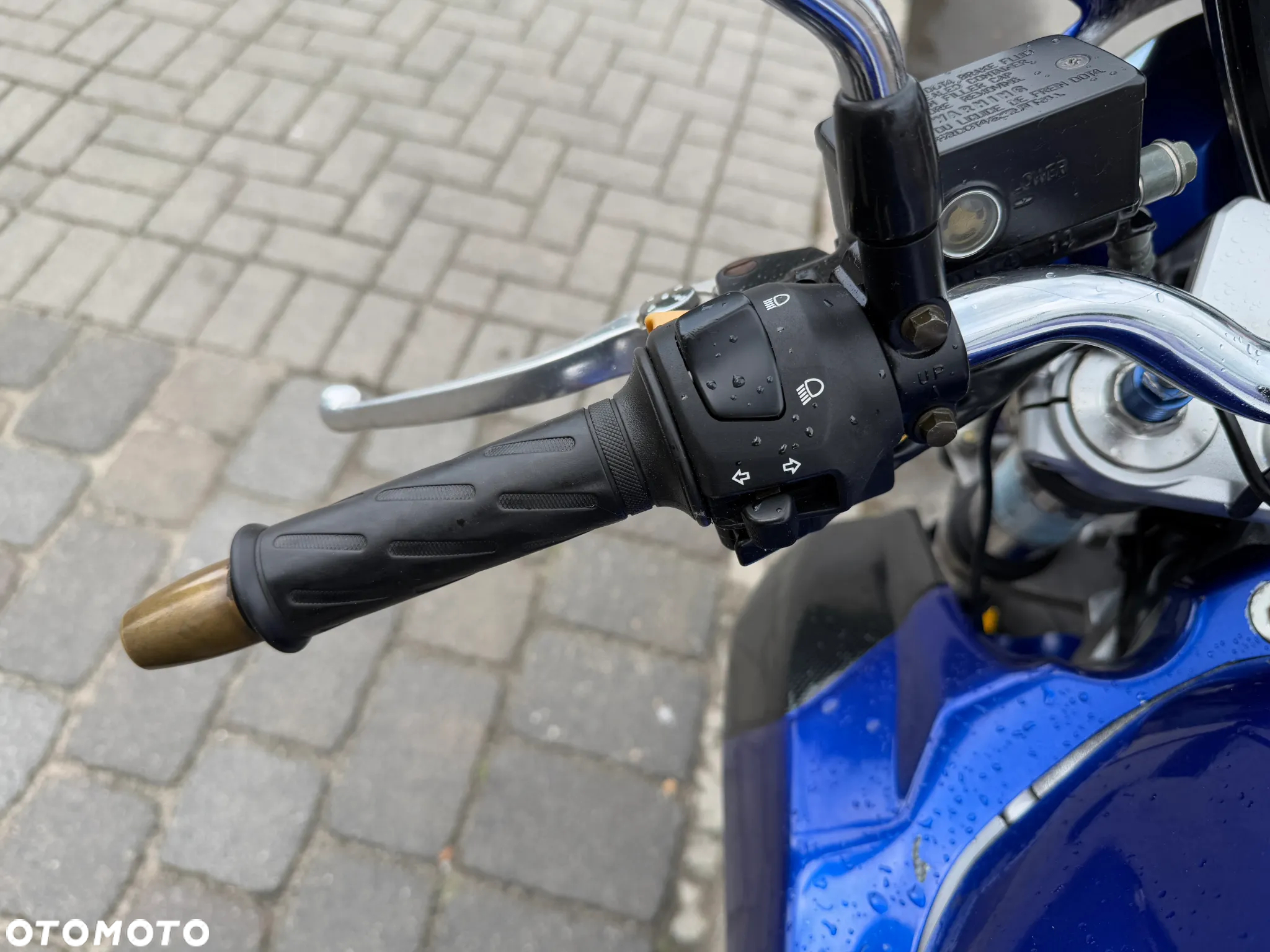 Suzuki SV - 13