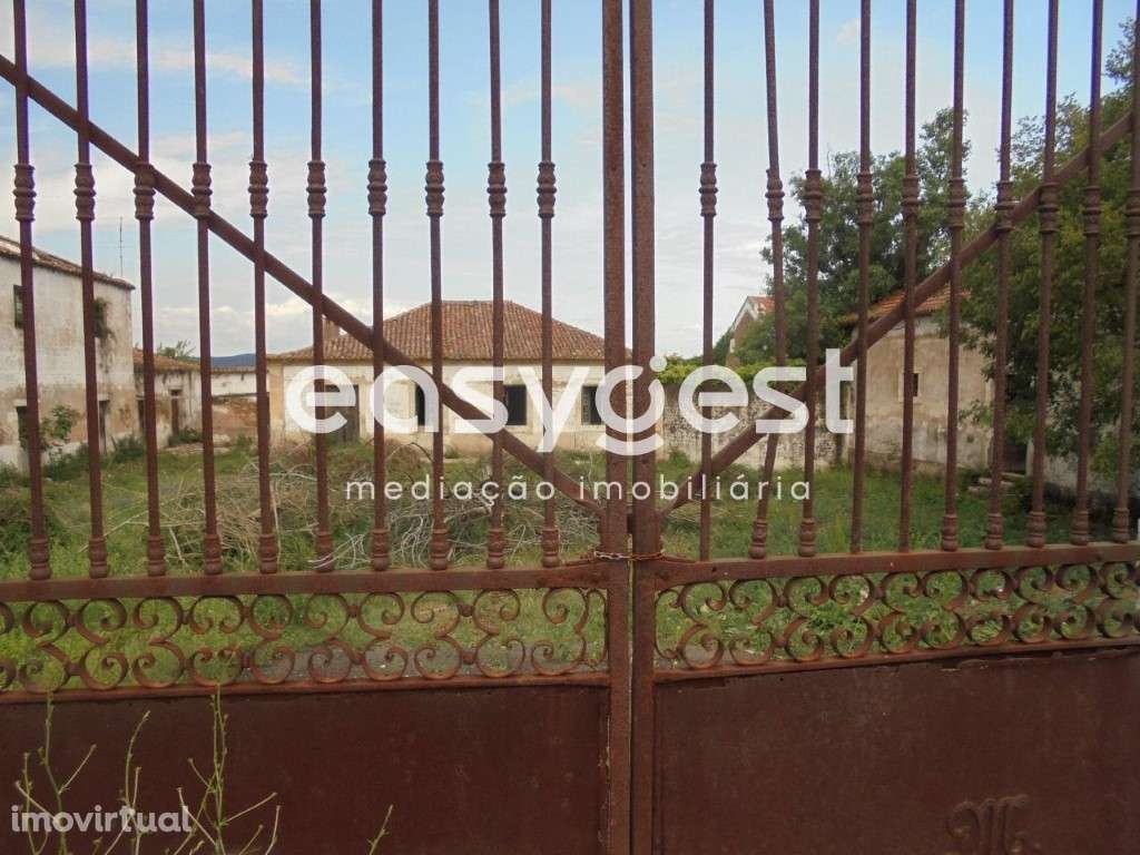 Quinta com moradia T6 em Constância, Santa Margarida da Coutada - Grande imagem: 2/60