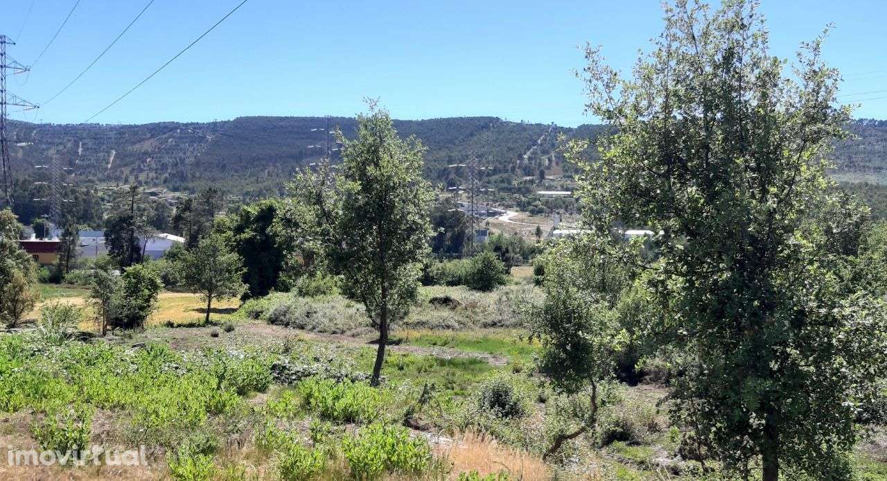 Terreno Zona Industrial Valongo C/ Licenciamento - Grande imagem: 2/11