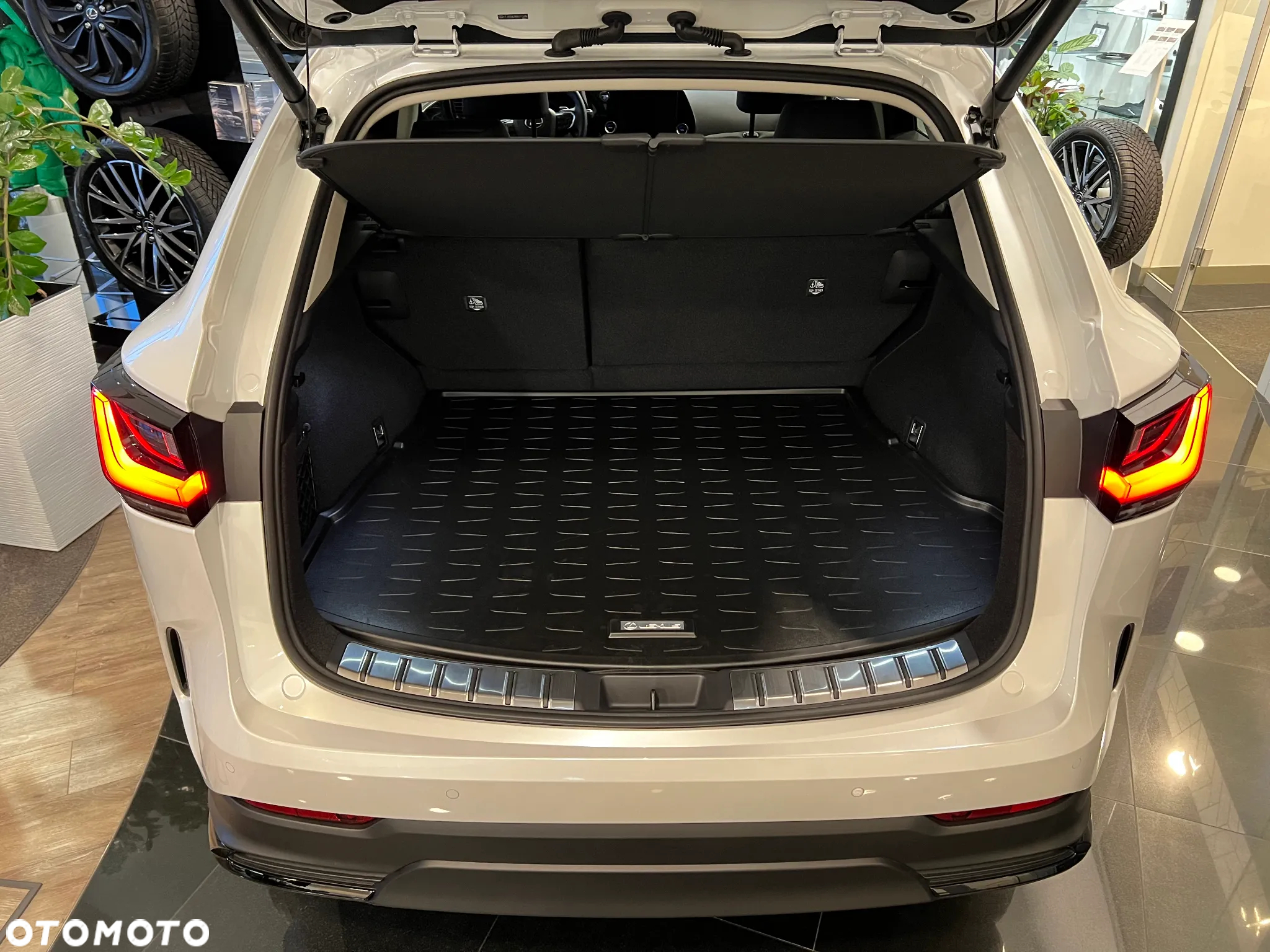 Lexus NX - 12