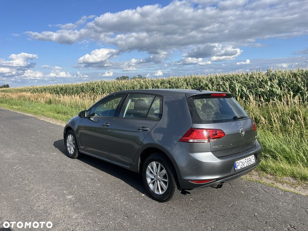 Volkswagen Golf - 1