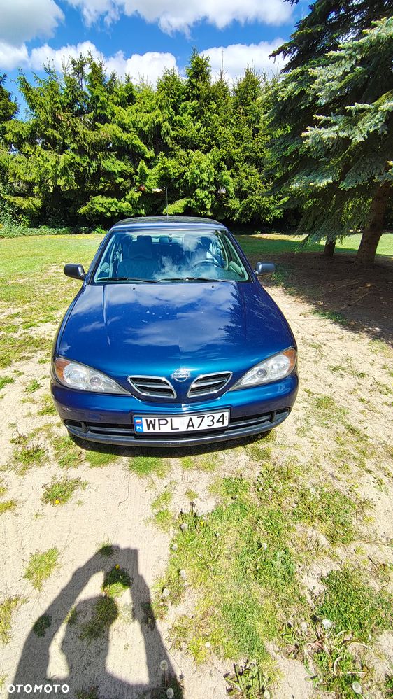 Nissan Primera - 7