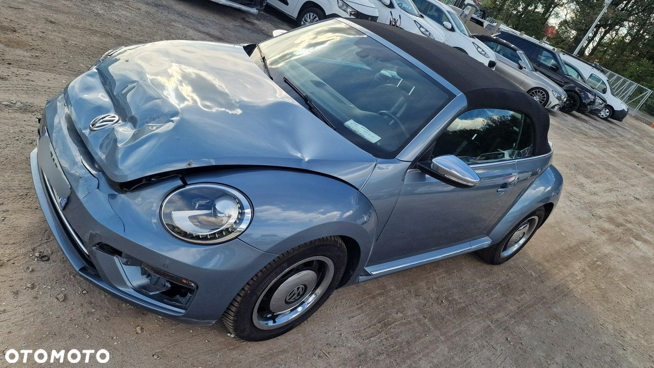 Volkswagen Beetle - 29
