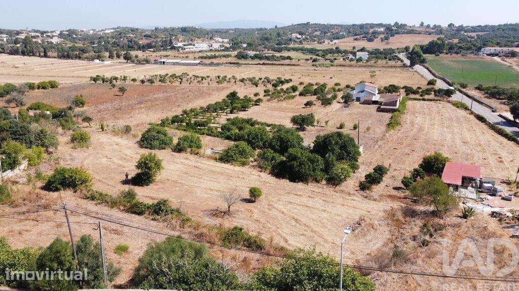 Terreno para construção T6 em São Gonçalo De Lagos de 1000,00 m2 - Grande imagem: 3/5