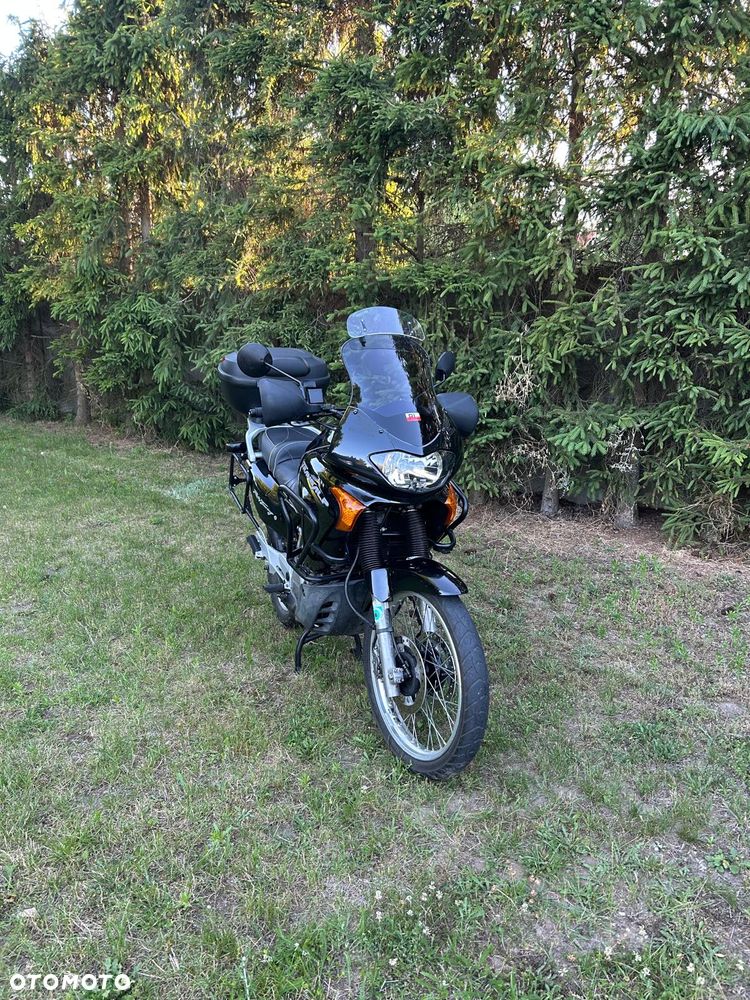 Honda Transalp - 1