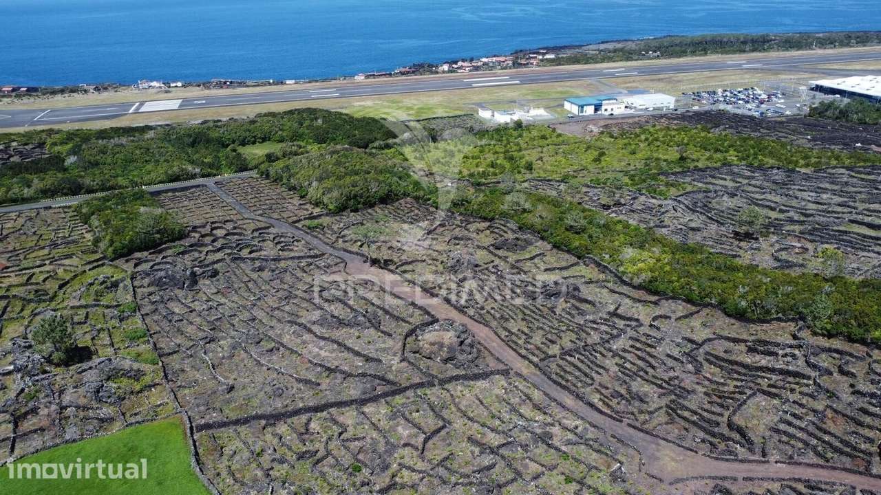 Terreno rústico com vinha – Bandeiras, Madalena do Pico - Grande imagem: 3/9