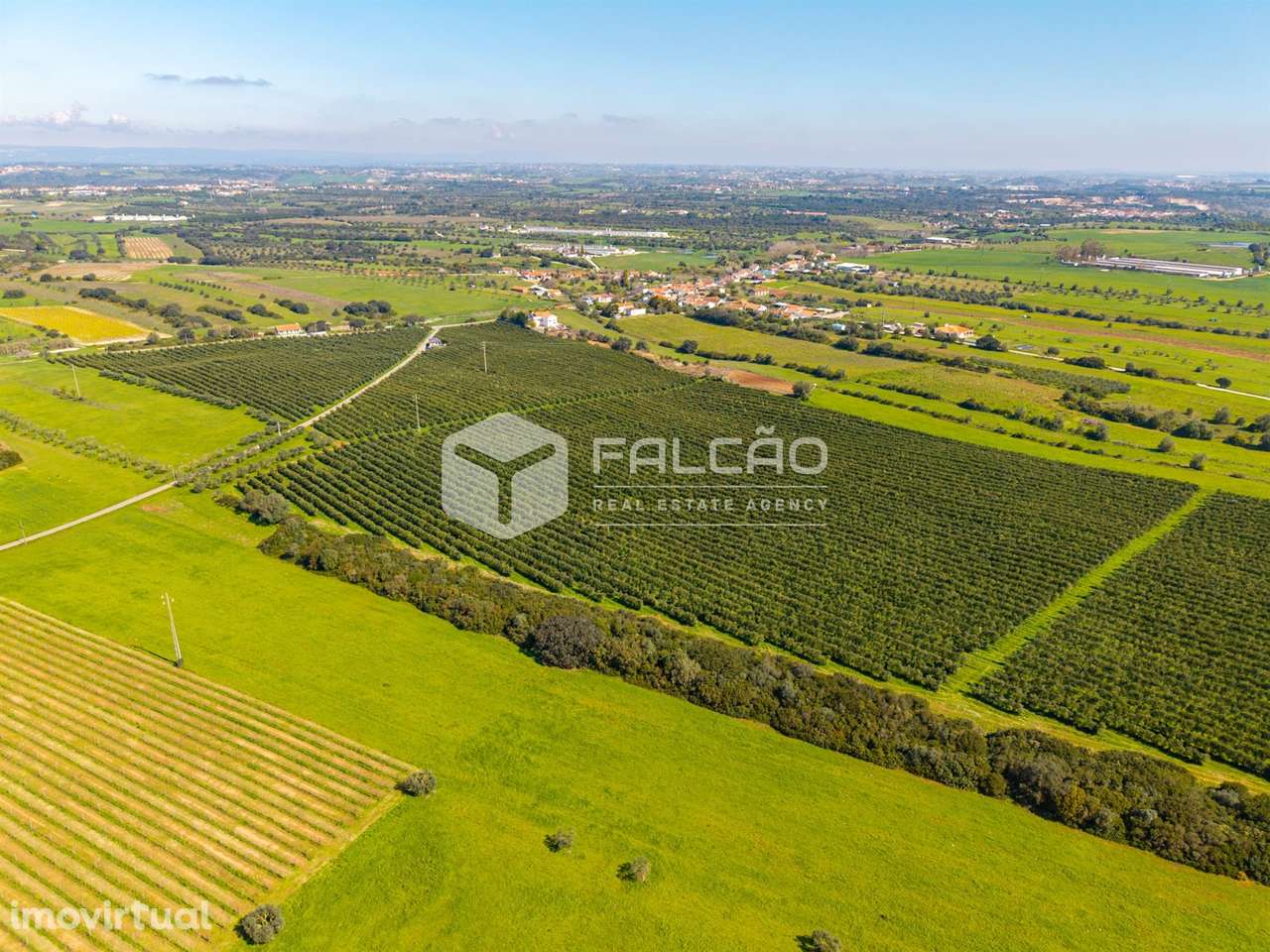 Terreno Rústico  Venda em Almoster,Santarém - Grande imagem: 5/29