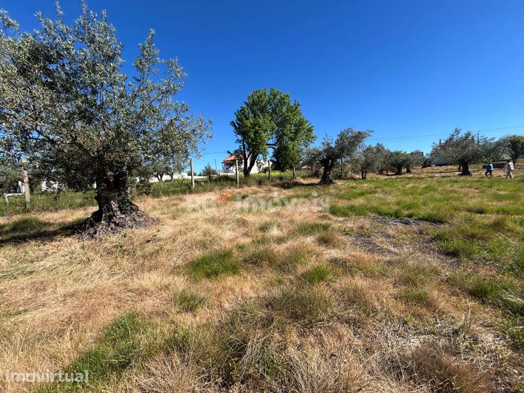 Terreno urbanizável - Carvalheiros, Tomar - Grande imagem: 4/21