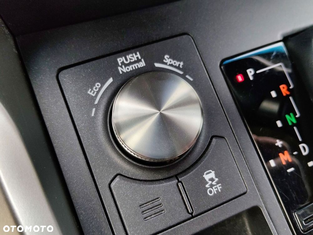 Lexus NX 300 Omotenashi AWD - 20