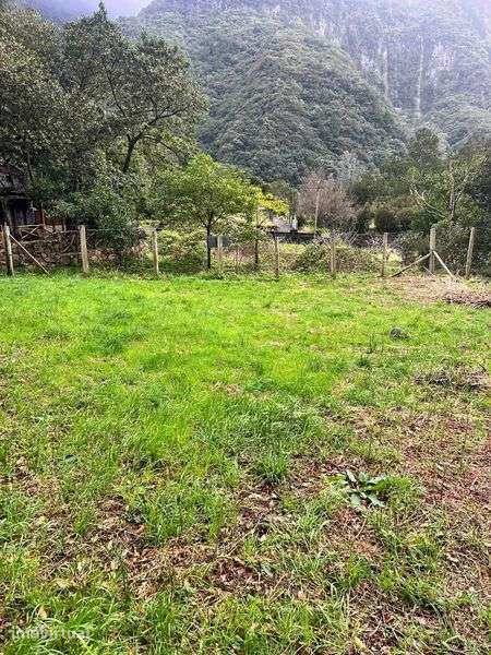 Terreno Rústico Seixal Chão da Ribeira - Grande imagem: 5/7