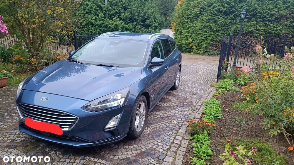Ford Focus 2021 photo 3