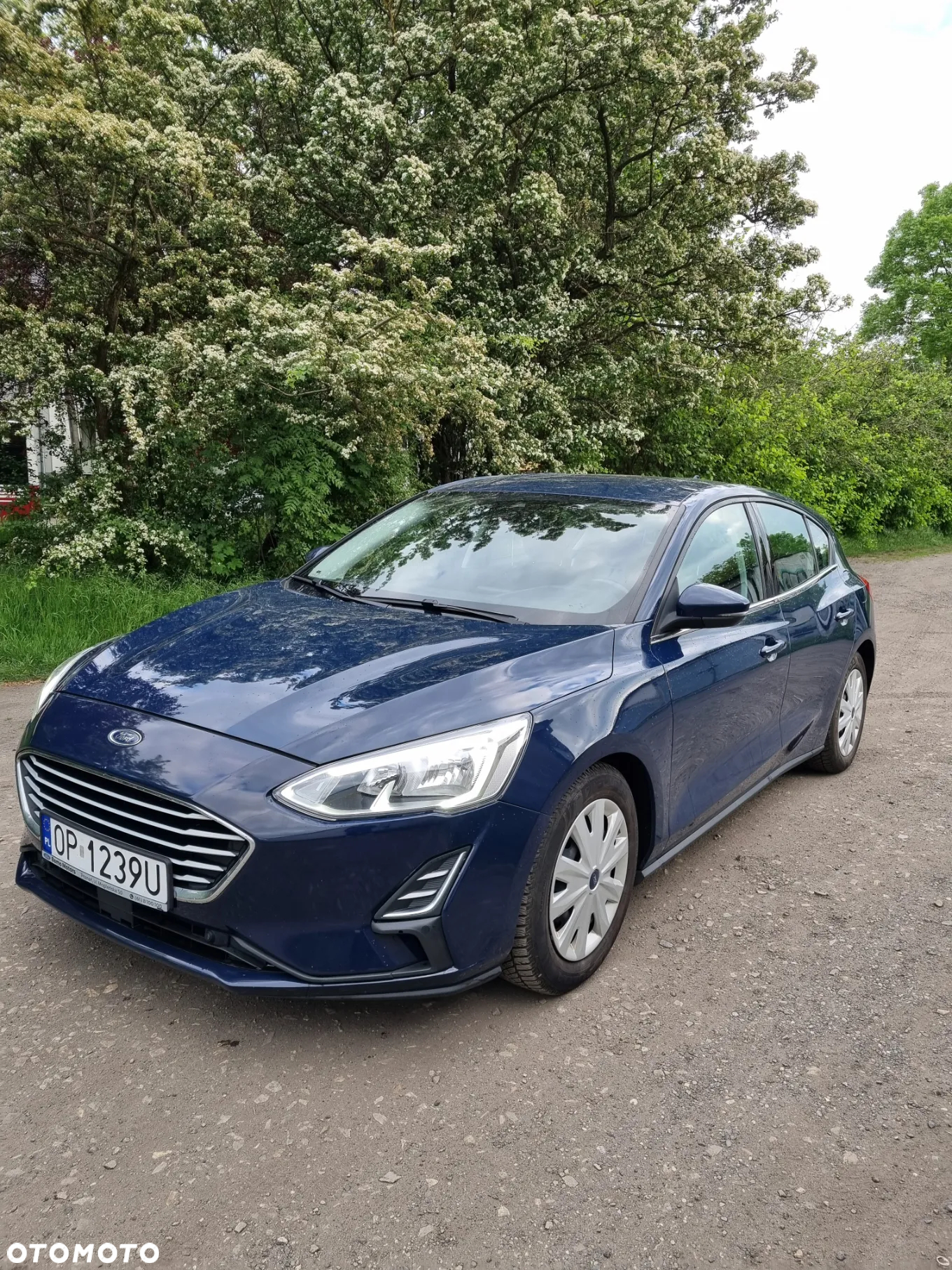Ford Focus 1.0 EcoBoost Trend ASS - 2