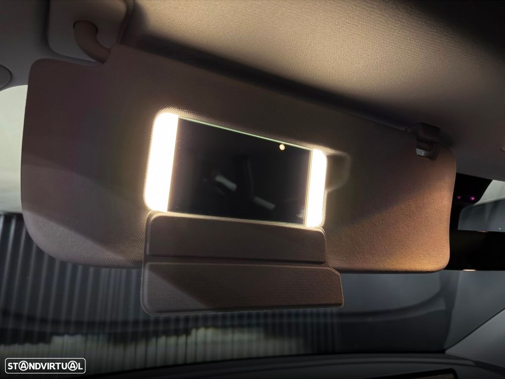 Tesla Model Y Performance Dual Motor AWD - 27